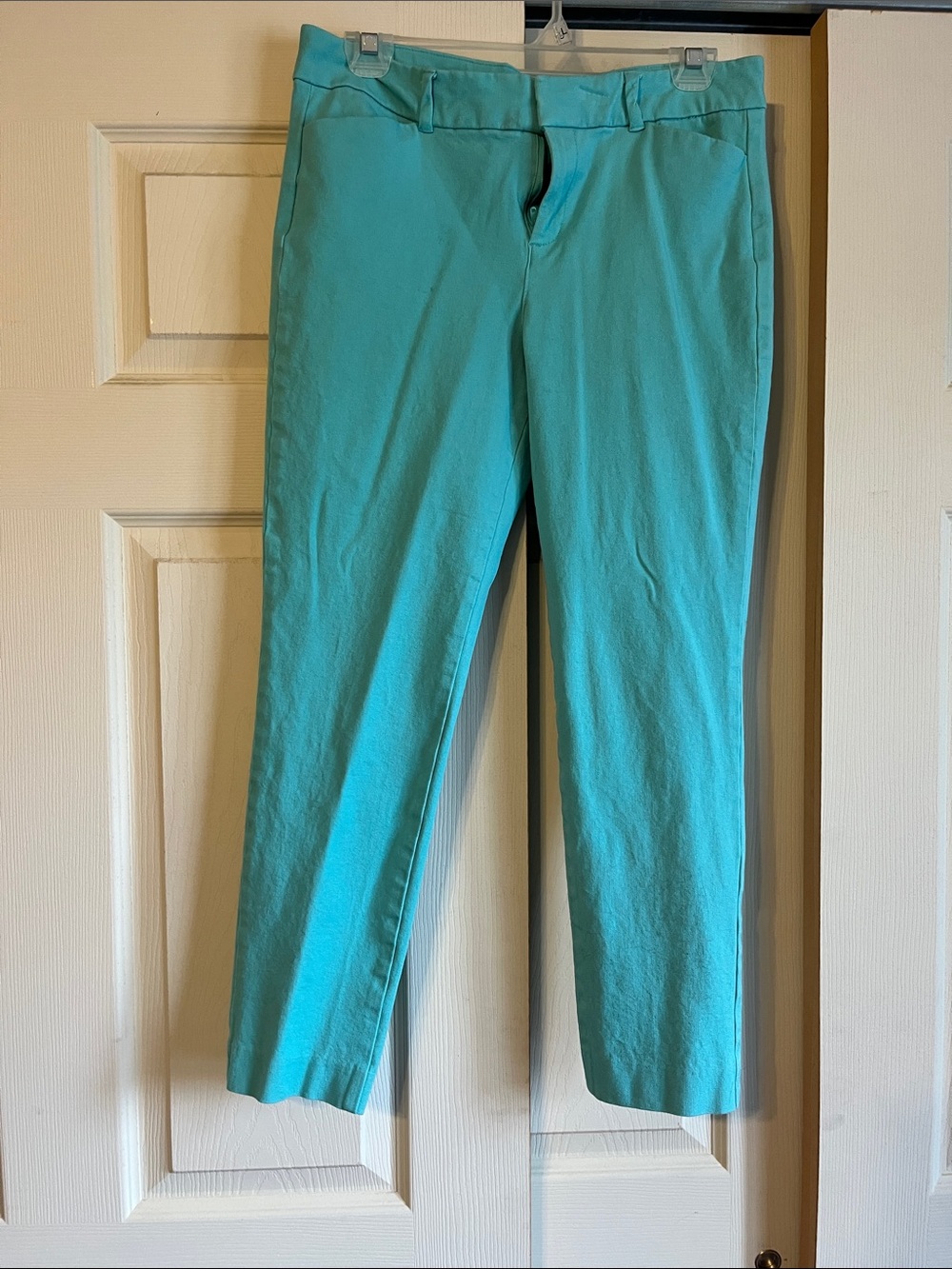 Old Navy Women's Teal Slim pixie ankle Pants